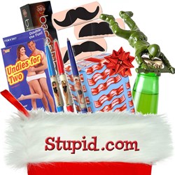 Funny Stocking Stuffers for Adults From Stupid.com