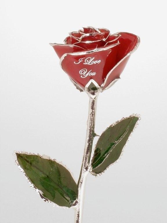 The "I Love You" Rose.