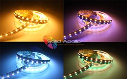 RGB-W Color Changing and Warm White Strip Solid Apollo