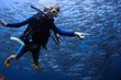 Do a little homework before Scuba Diving in the Florida Keys