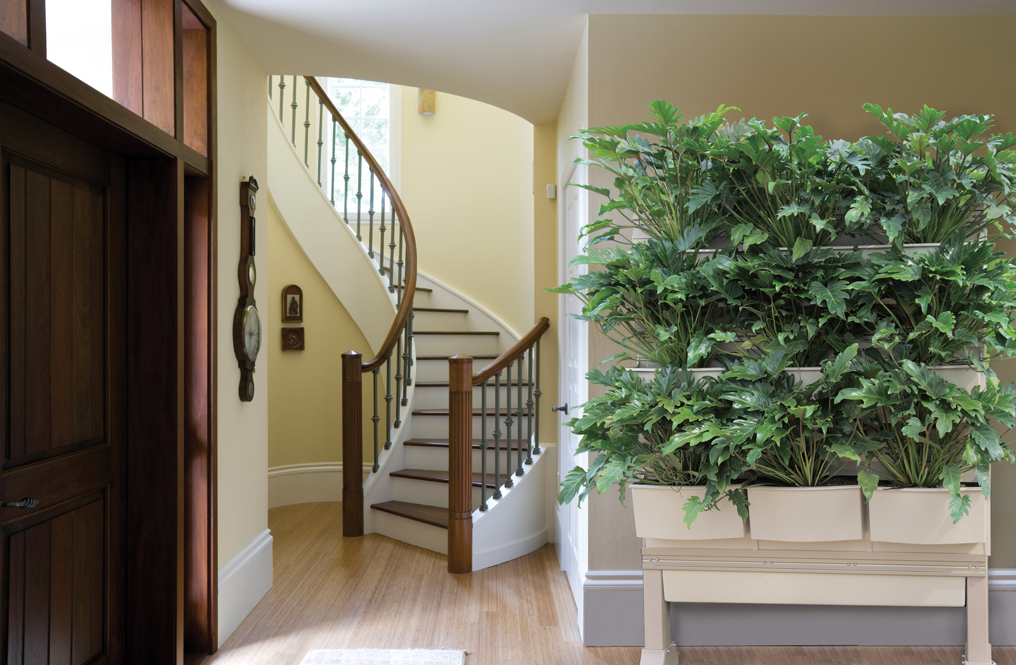 LiveScreen Indoor Living Wall System on Wheels