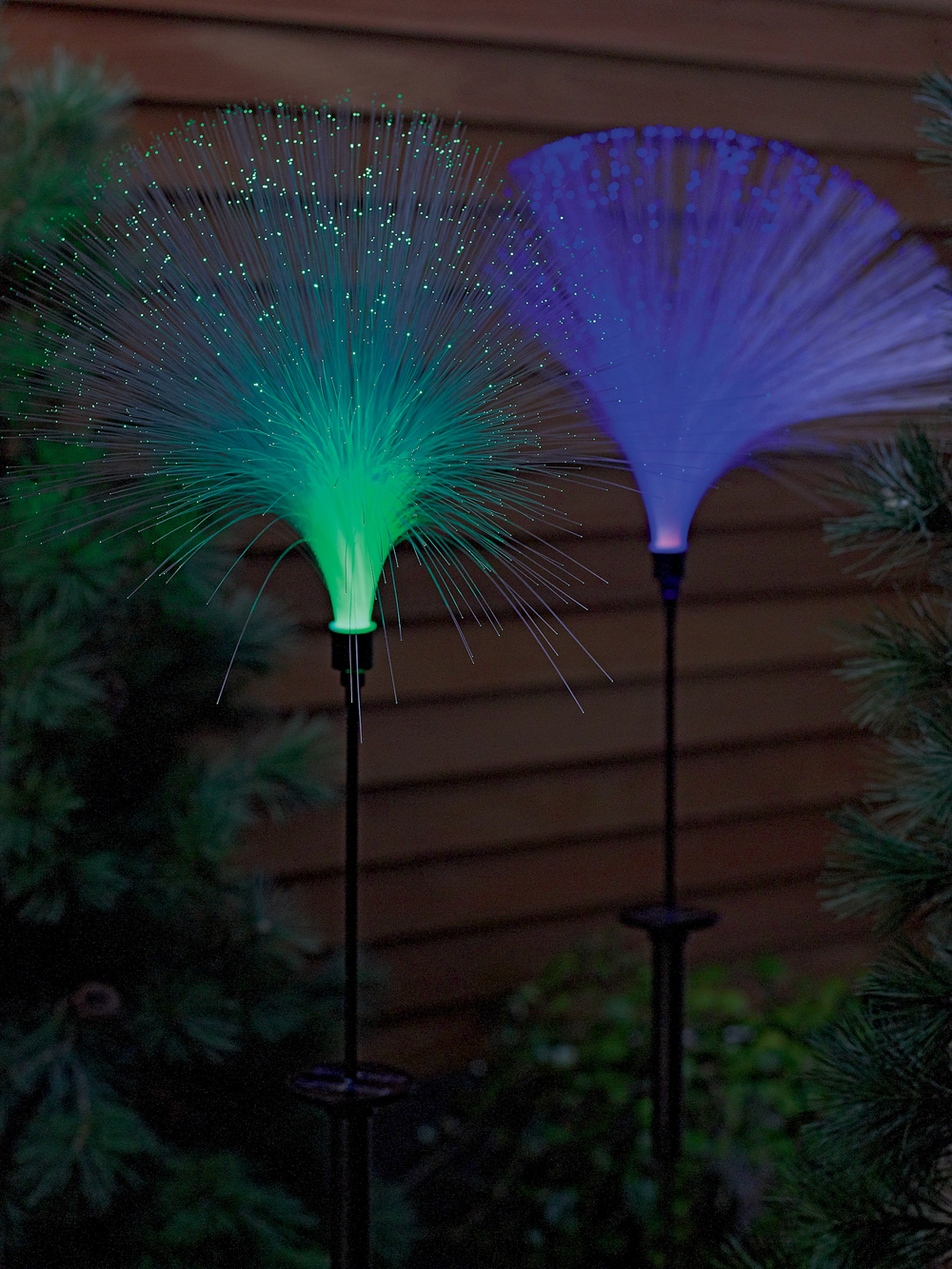 Myers recommends including fiber optic solar lights in winter container gardens to add height, color and flare.