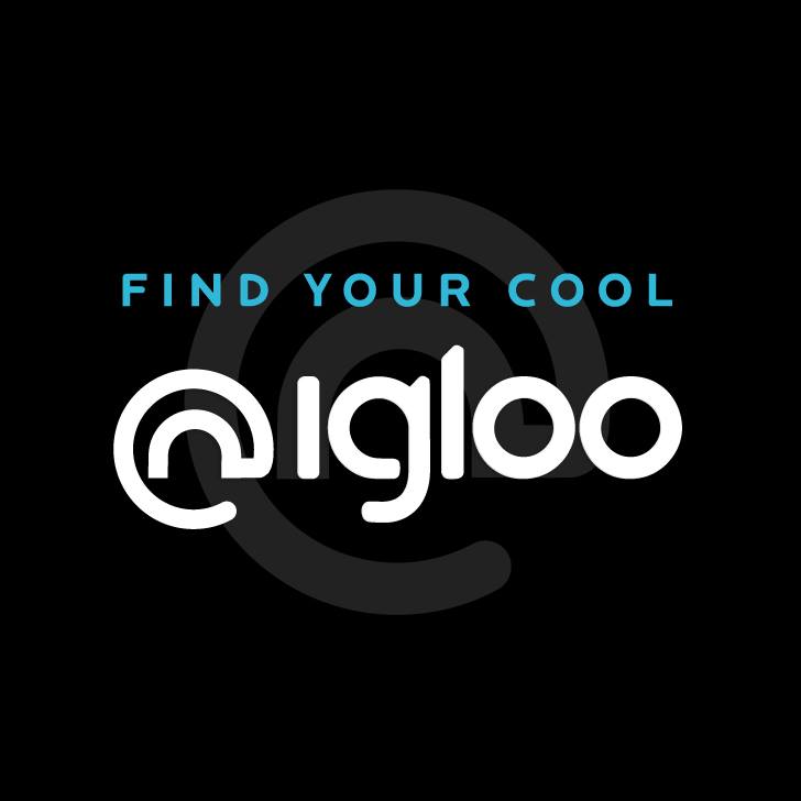 Igloo.com - Premium Domain and Website Specialists