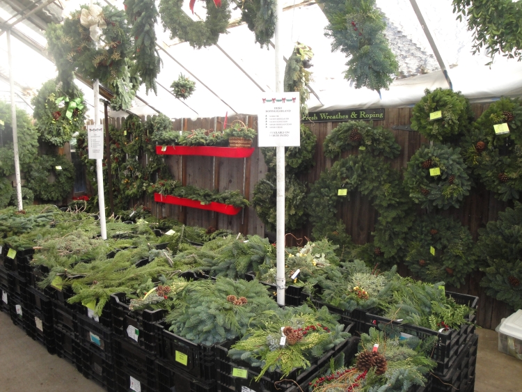 Find the perfect Christmas trees and holiday greens at City Floral Garden Center in Denver.