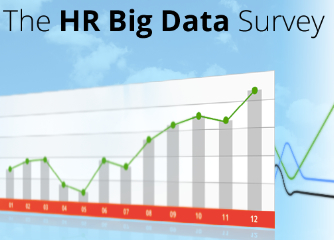 The HR Big Data Survey
