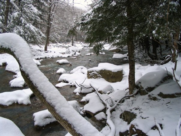 Grant County, W.Va offers stunning views during the Winter months.