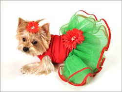 christmas-ribbon-dog-tutu-dress