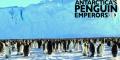 Antartica's Emporer Penguin 3D Trailer