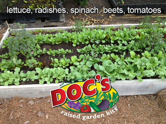 An example of tons of produce planted in a Doc's Raised Garden Kit