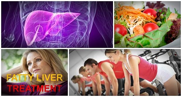 the fatty liver bible and ezra protocol download