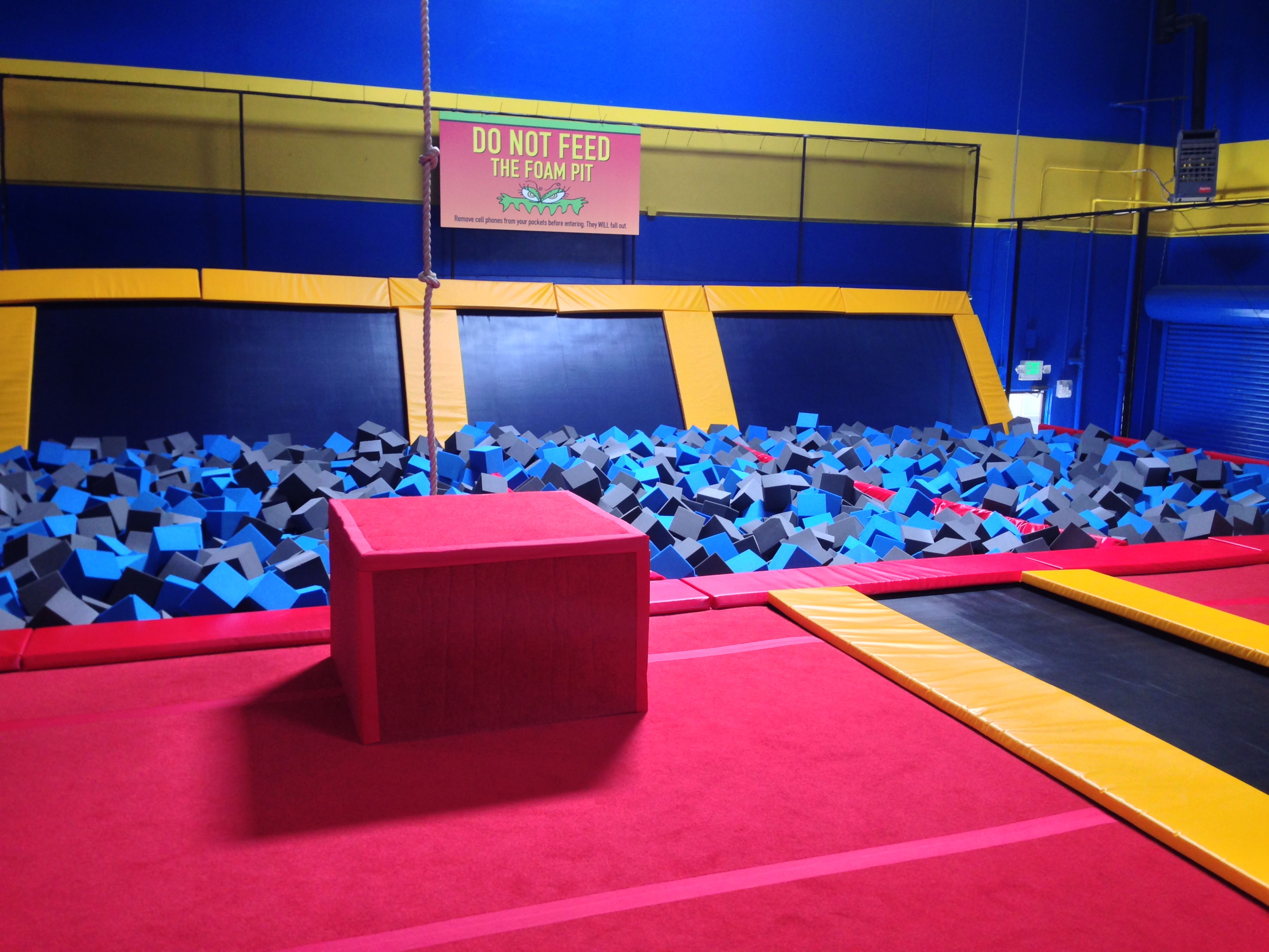 Foam Pit With Rope Swing
