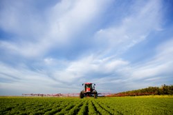 Crop Protection and Pesticides