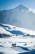 Groomed Nordic skiing trails, photo courtesy of Crested Butte Nordic/Xavier Fane