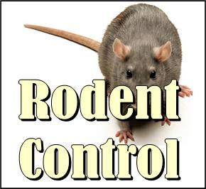 Rodent Control