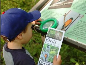 Magnifying nature for the fun of it.