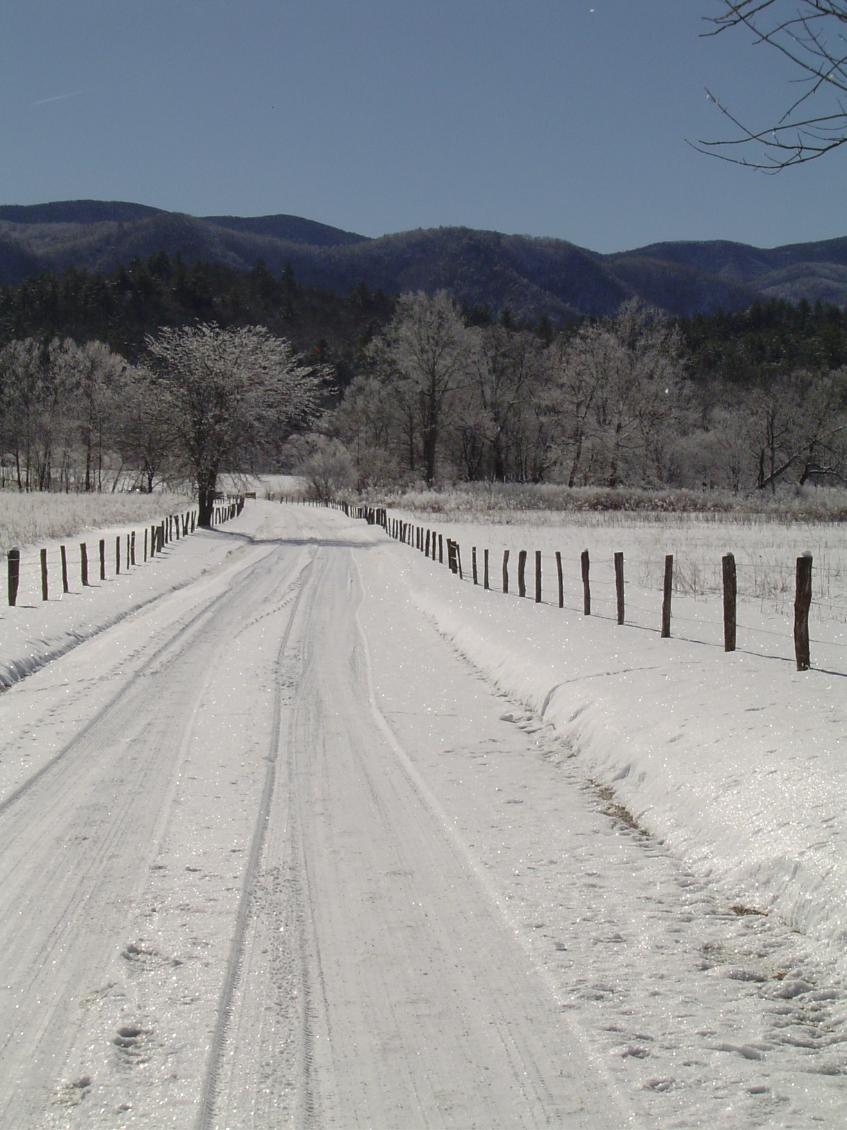 The Cades Cove Loop Road is beautiful year-round and open all year long.