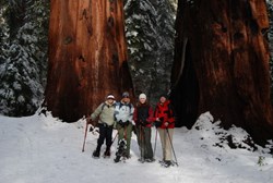 Yosemite-snowshoe-DeGrazio