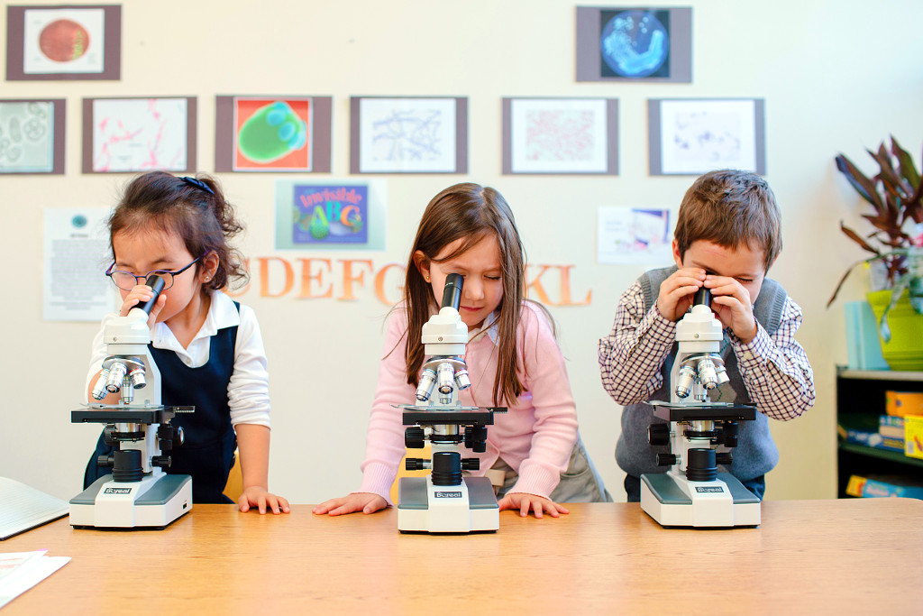 Five year-old students using microscopes doing forensic microbiology as part of Primoris Academy's "S.B.I." (Scientific Bureau of Investigation) class.