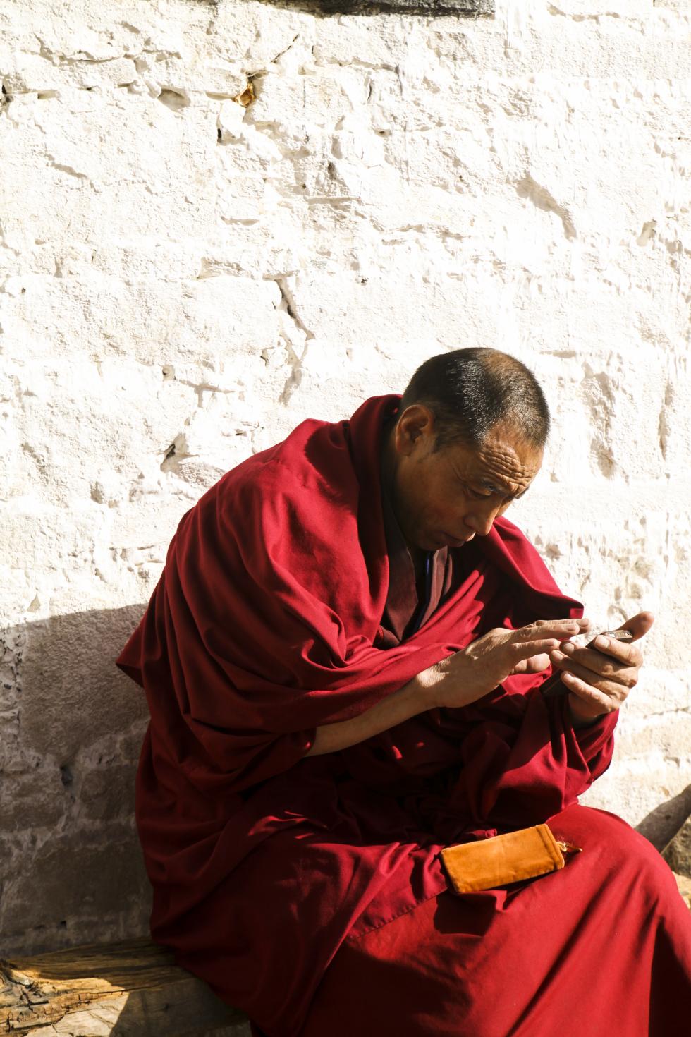 Lama using iphone