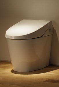 Toto MS980CMG Neorest 550 Dual Flush Toilet with Heated Seat, Warm Air Dryer and Remote Control Operation
