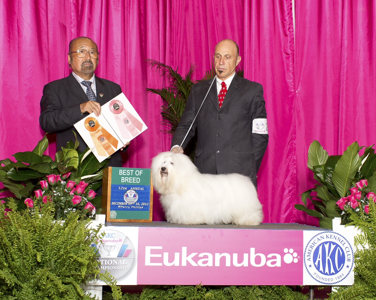 Hopecrest's MOnkey Business, CM10 takes Best of Breed Eukanuba 2012
