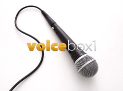 VoiceBox1's Online Voiceover Website Quickly Gains ... - PRWeb