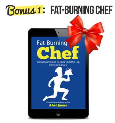 fat burning chef review