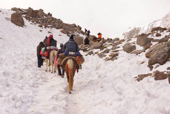 Trekkers at Mt. Kailash