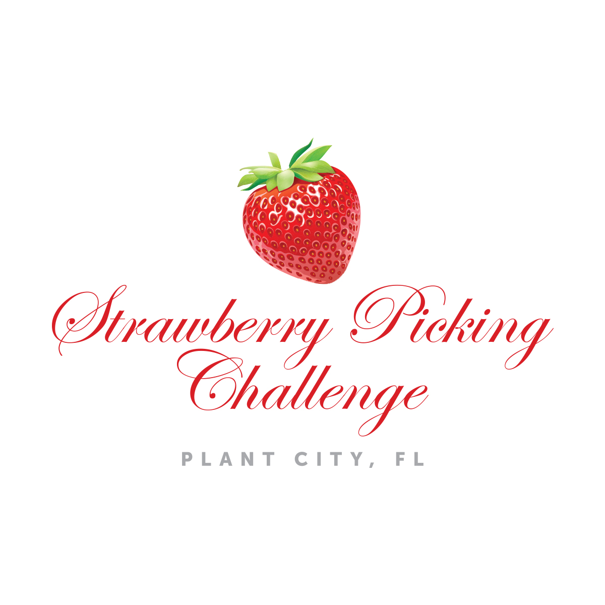 Wish Farms Strawberry Picking Challenge