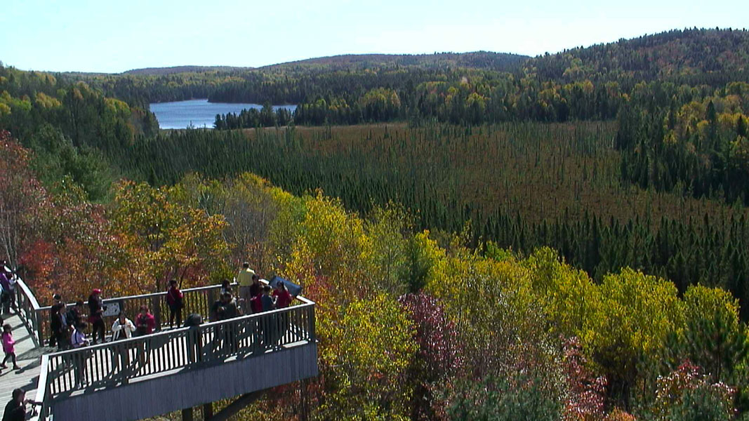 The striking colors of fall are something to be seen. The new live webcam at Algonquin will give viewers a unique chance to see.
