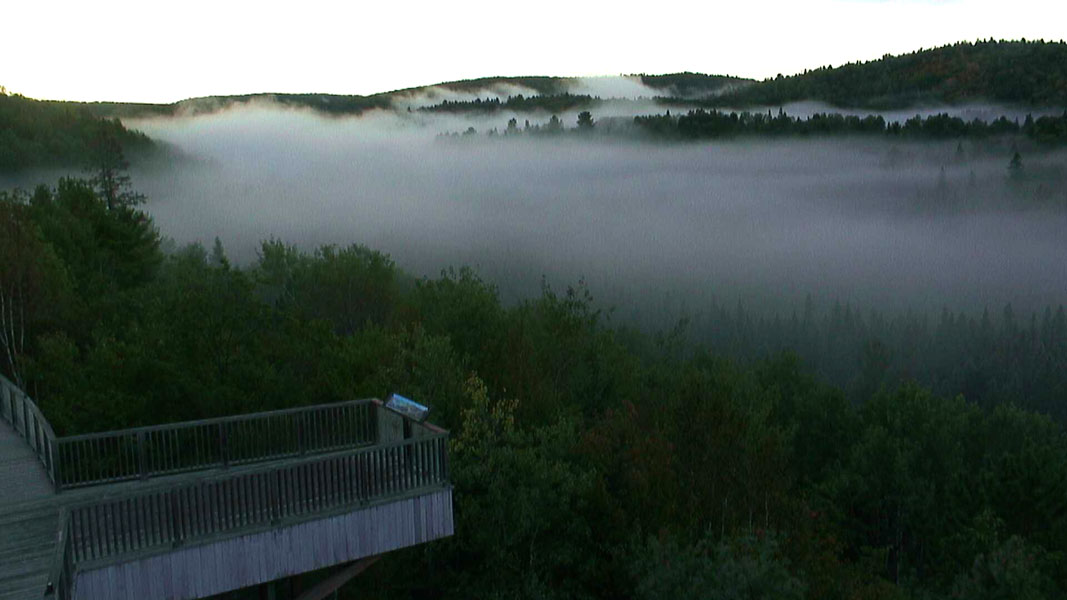The fog rolls in at Algonquin.