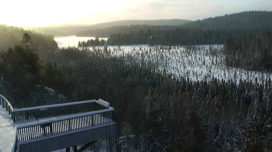 Visitors to the webcam will be treated to live views of some amazing sunrises.