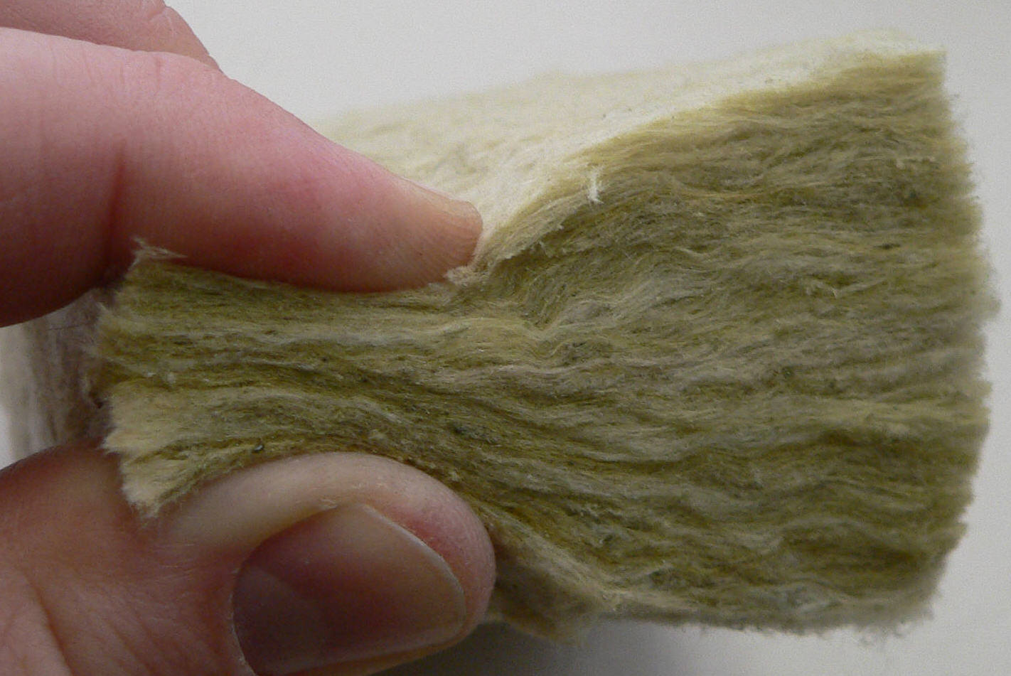 Humans use materials such as artificial rock wool, which mimics the texture of the warm coats of animals like sheep, to insulate buildings. However, researchers from the University of Namur in Belgium