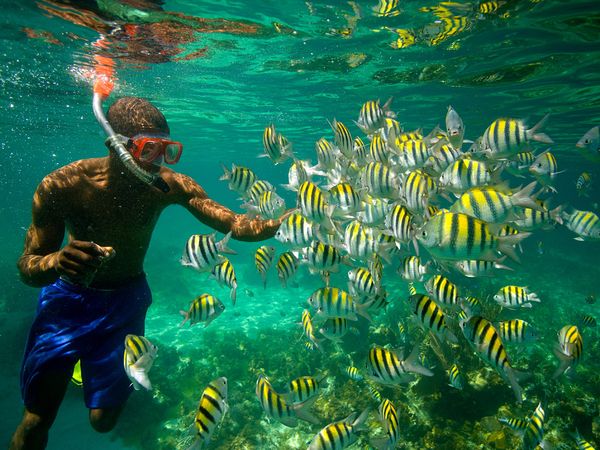 Get Incredible HD Footage Snorkeling or Diving With Garmin VIRB Elite