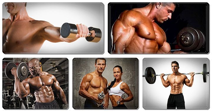accelerated muscular development review