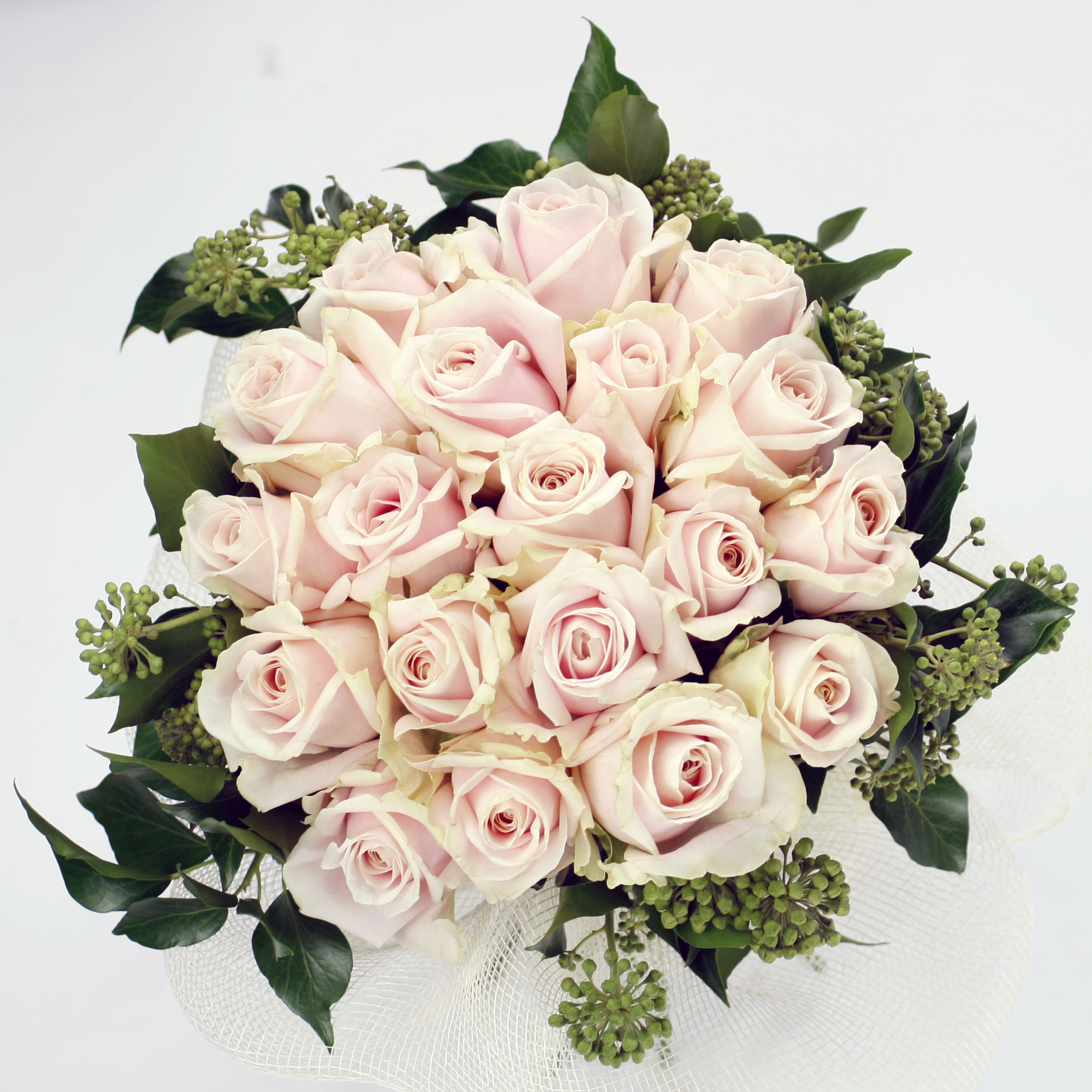 Blushbaby pink rose bouquet