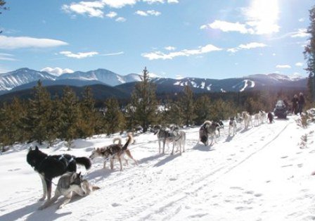 Dog sledding is a popular Winter Park pastime.