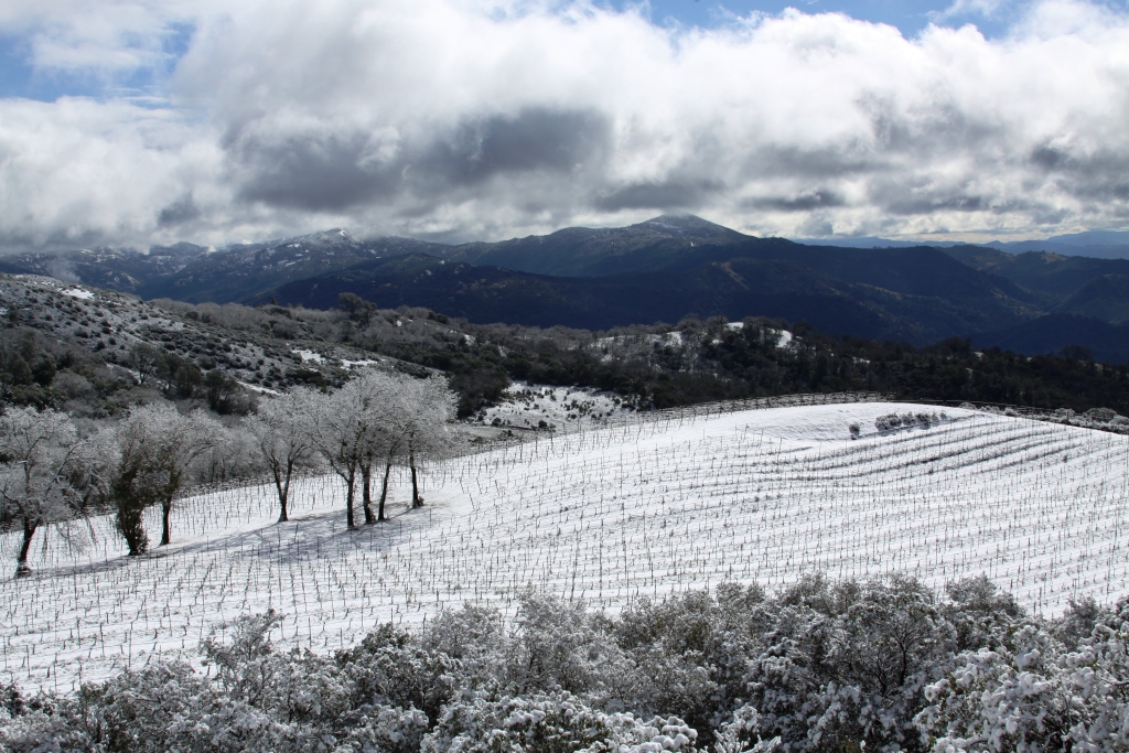 Extremes in climate, terroir and elevation affect farming methods.