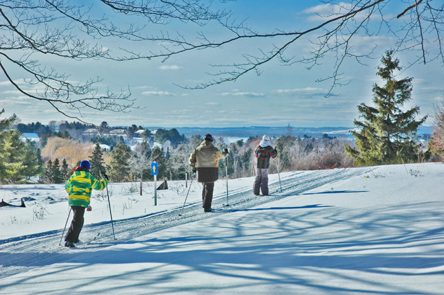 Cross-Country Skiing in Traverse City