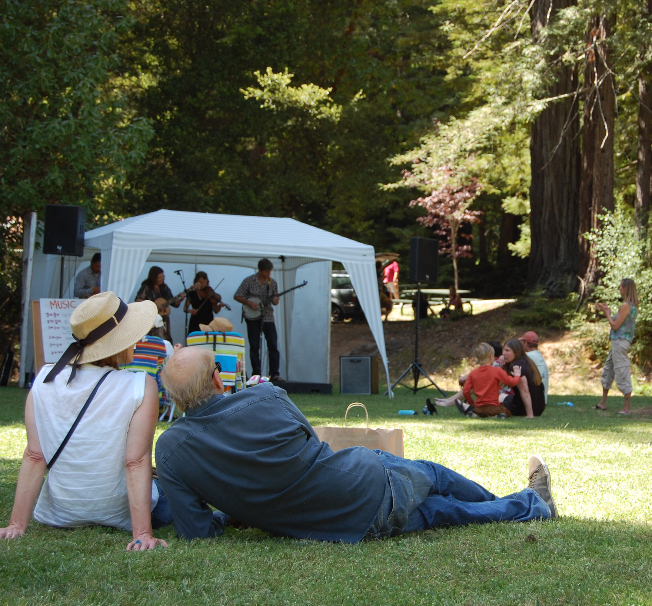 Festival-Goers enjoying Live Music