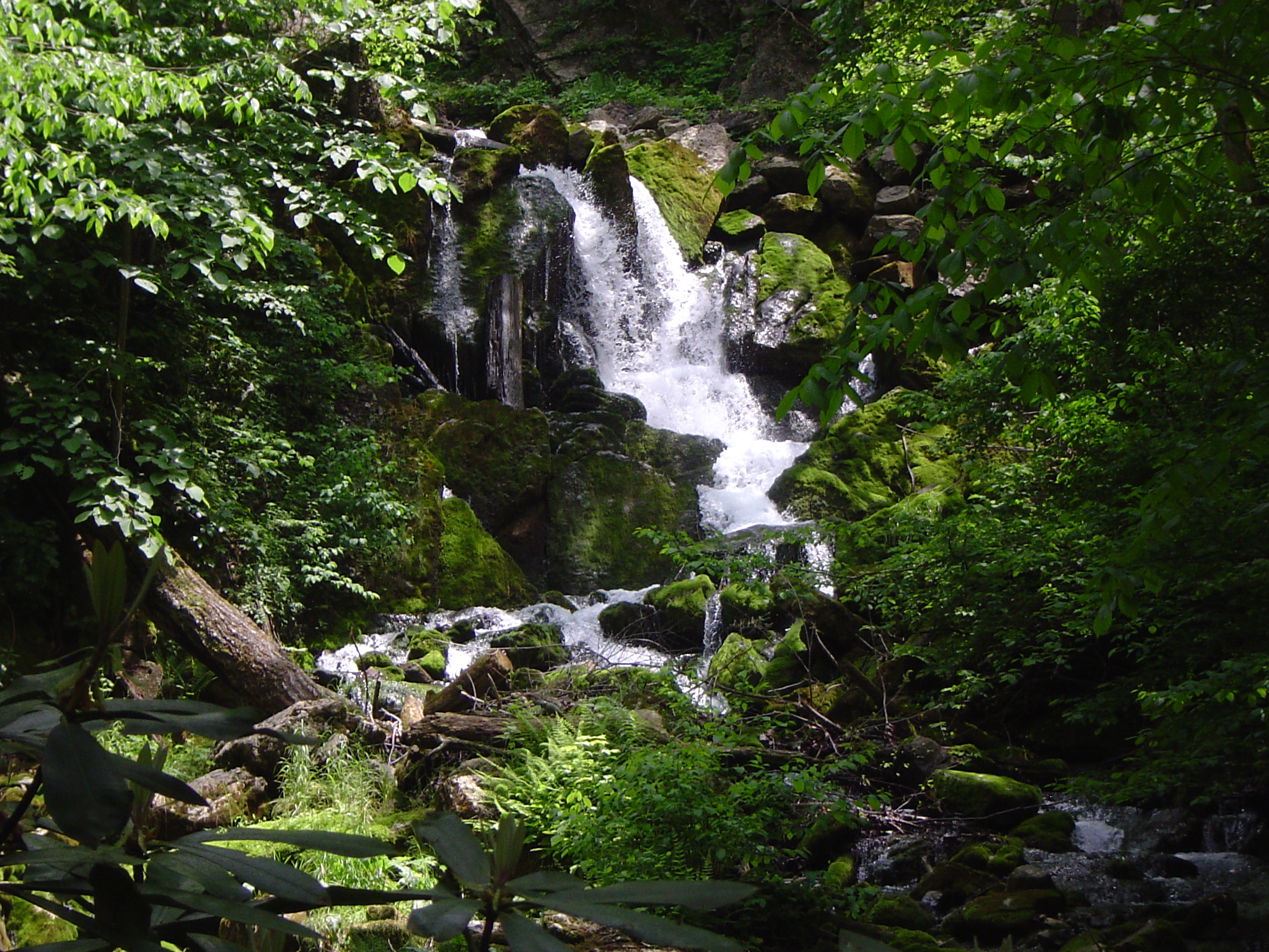 Spectacular views abound in Grant County, West Virginia.