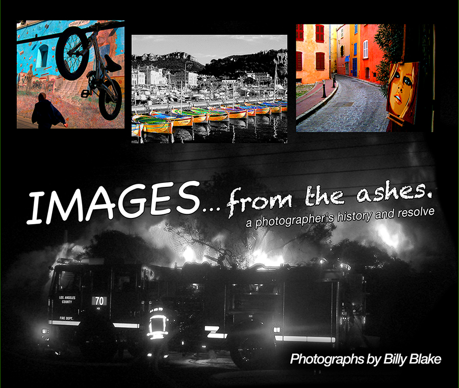 Cover Art - Images ... from the ashes