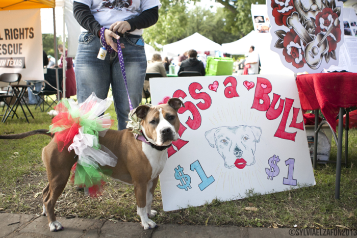 Popular kissing booth at Texas Veggie Fair is tail-wagging fun