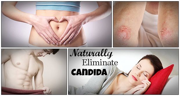 natural candida cleanse review
