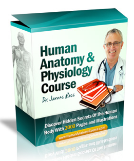 Study Course for Human Anatomy & Physiology