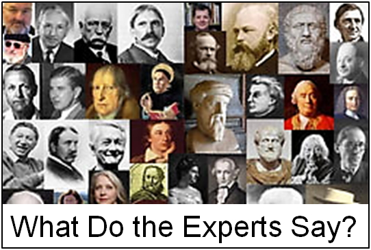 What do the experts say?