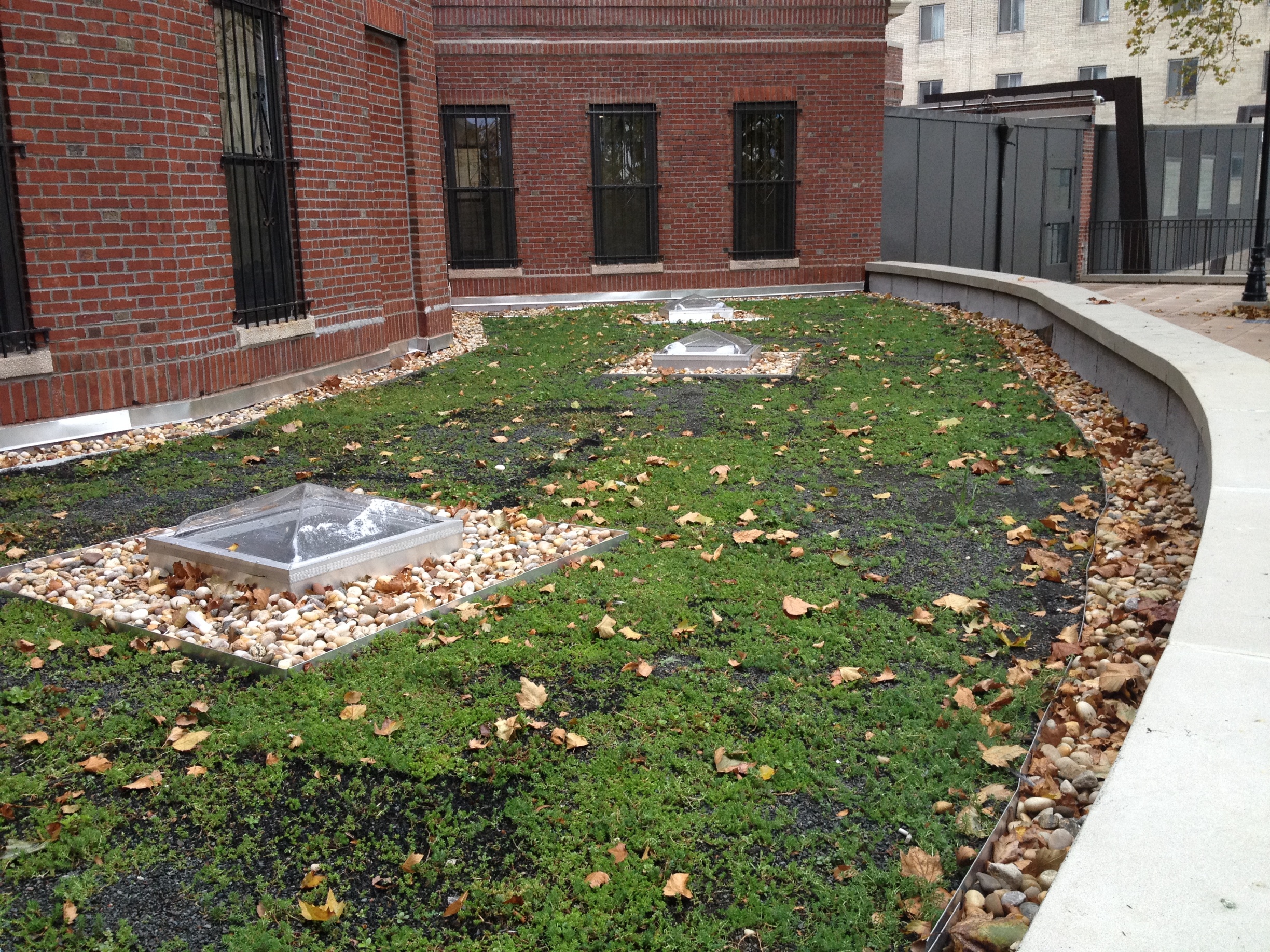 Xero Flor Green Roof at the Findlay Teller Apartments