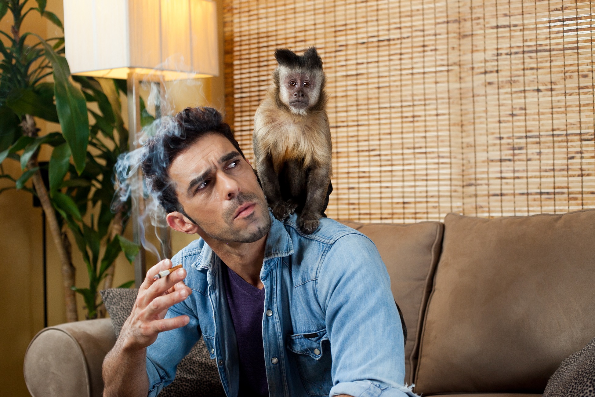 Get the Monkey off Your Back - Stop Smoking Today