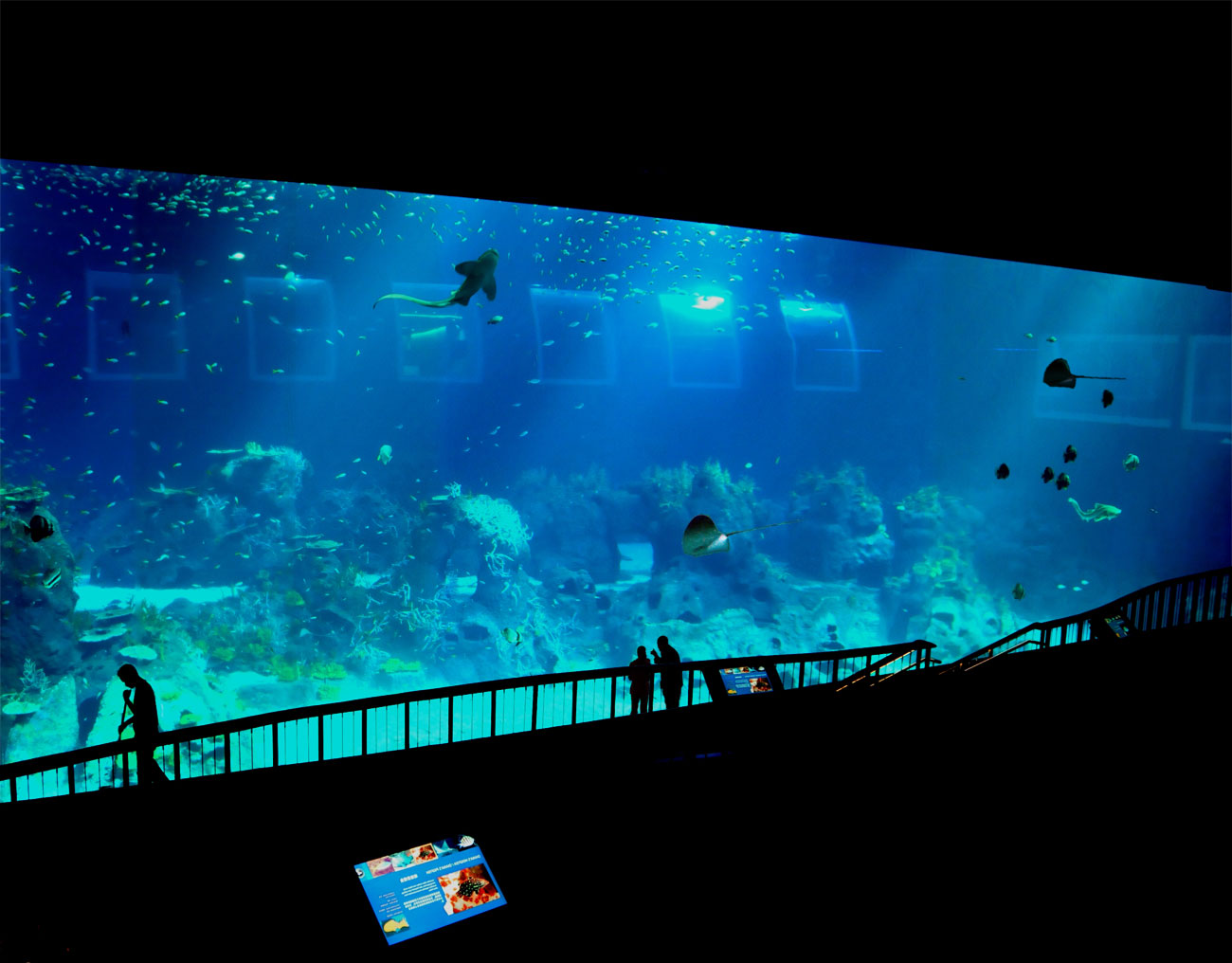 Reynolds Polymer is known for manufacturing the World's Largest Aquarium Window at Resorts World Sentosa.