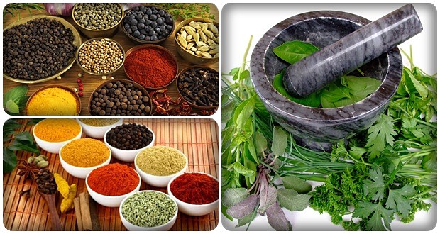 healing herbs and spices
